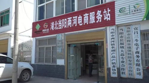 两河镇电商服务站 打造农特产品出村与家政服务双引擎